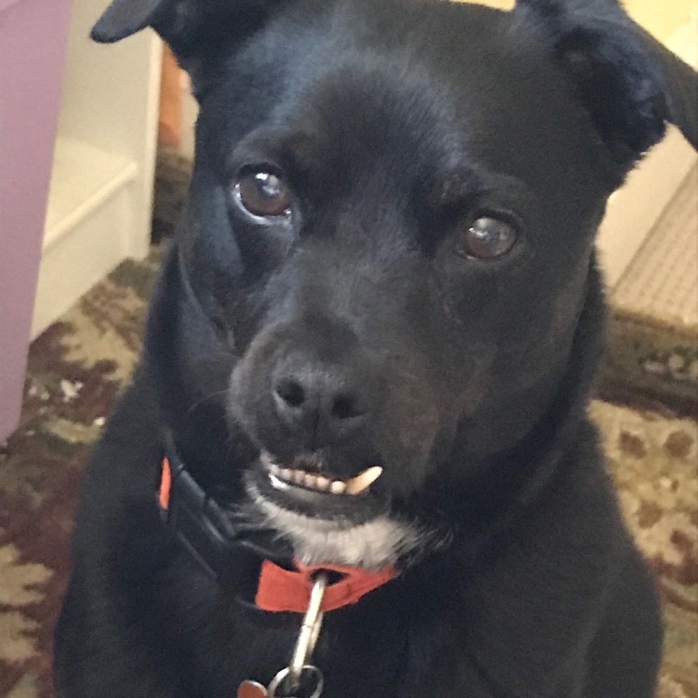 Meet your Posher, Clea